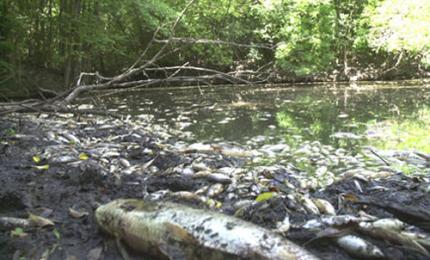 Contaminacion bienes naturales