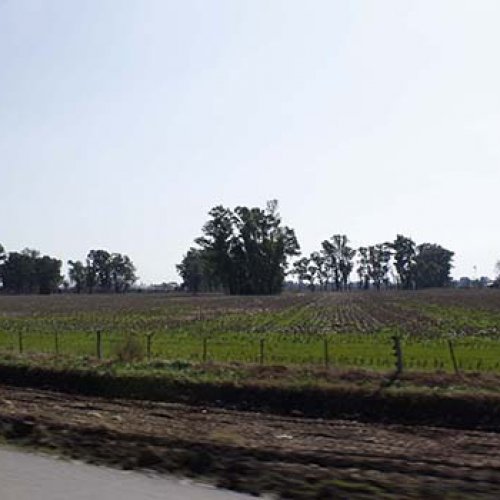 ruralidad